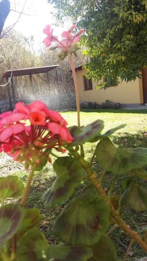 Mamaku Huasi Hotel Cafayate Luaran gambar