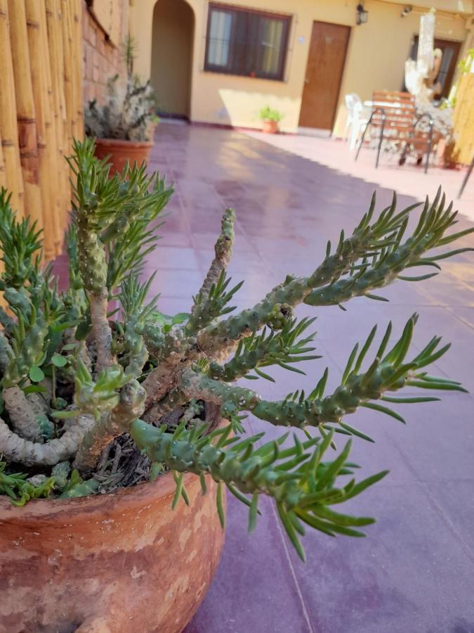 Mamaku Huasi Hotel Cafayate Luaran gambar